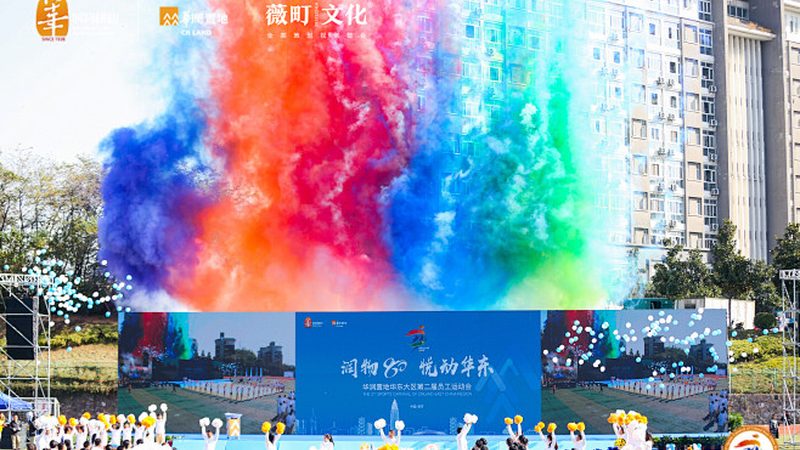成都品牌设计公司排名：揭秘品牌形象塑造的关键要素