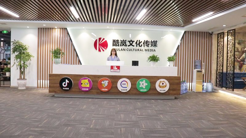 文化传媒公司资质许可证办理，揭秘合规之路